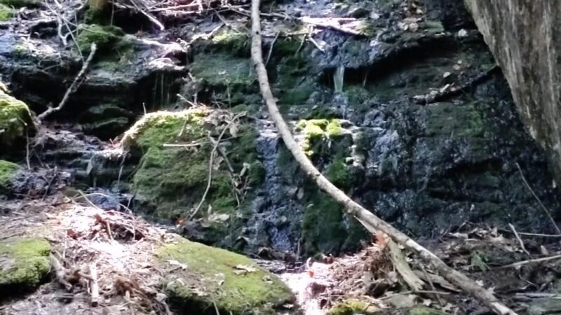 Gully Oven Park - Lebanon, ME