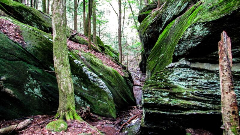 Gully Oven Park - Lebanon, ME