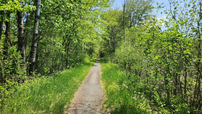 Northern Rail Trail Access - Lebanon, NH