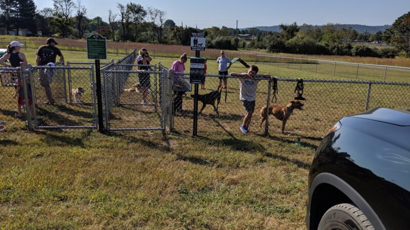 Bundt Park - Dog Park - Lebanon, NJ