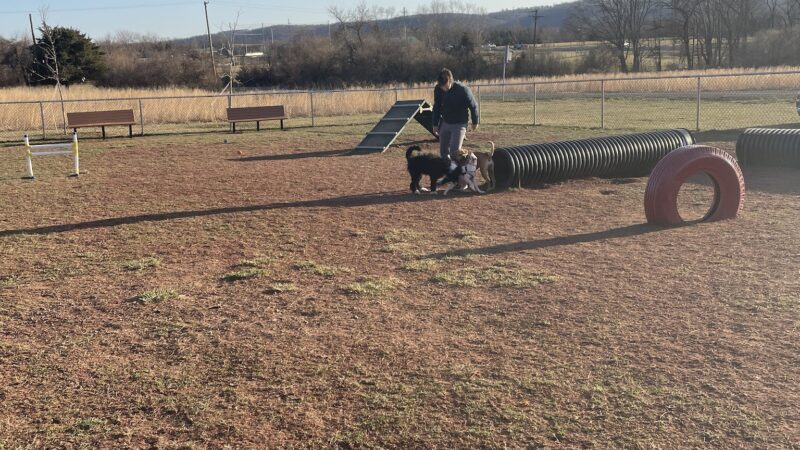 Bundt Park - Dog Park - Lebanon, NJ