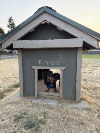 Lebanon Dog Park - Lebanon, OR