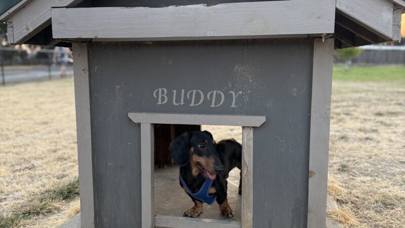 Lebanon Dog Park - Lebanon, OR