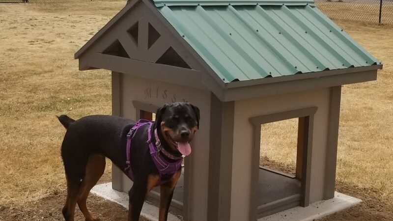 Lebanon Dog Park - Lebanon, OR