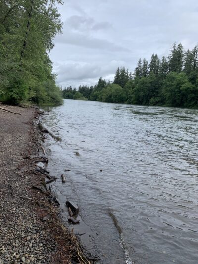 Waterloo Dog Park - Lebanon, OR