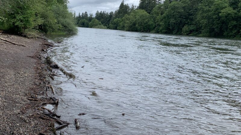 Waterloo Dog Park - Lebanon, OR
