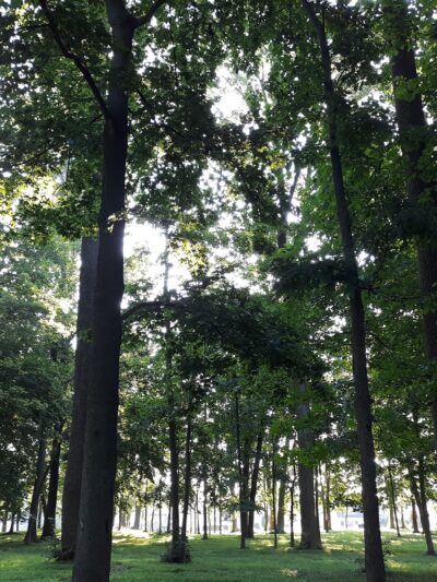 Gloninger Woods Park - Lebanon, PA