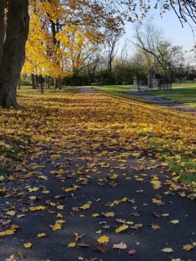 Gloninger Woods Park - Lebanon, PA