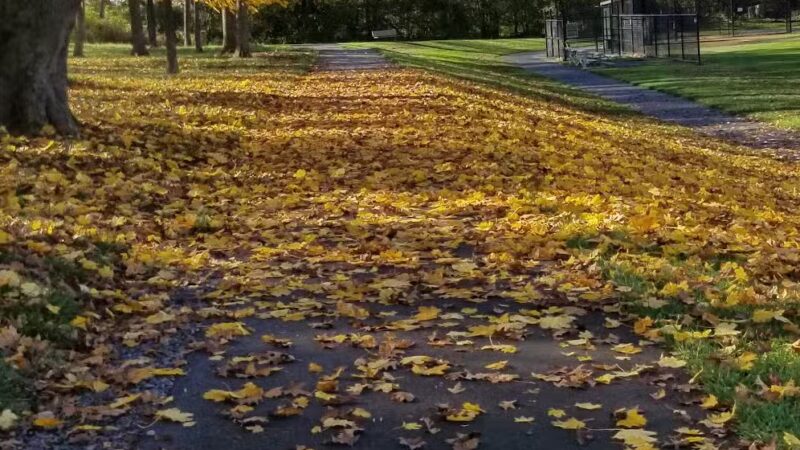 Gloninger Woods Park - Lebanon, PA