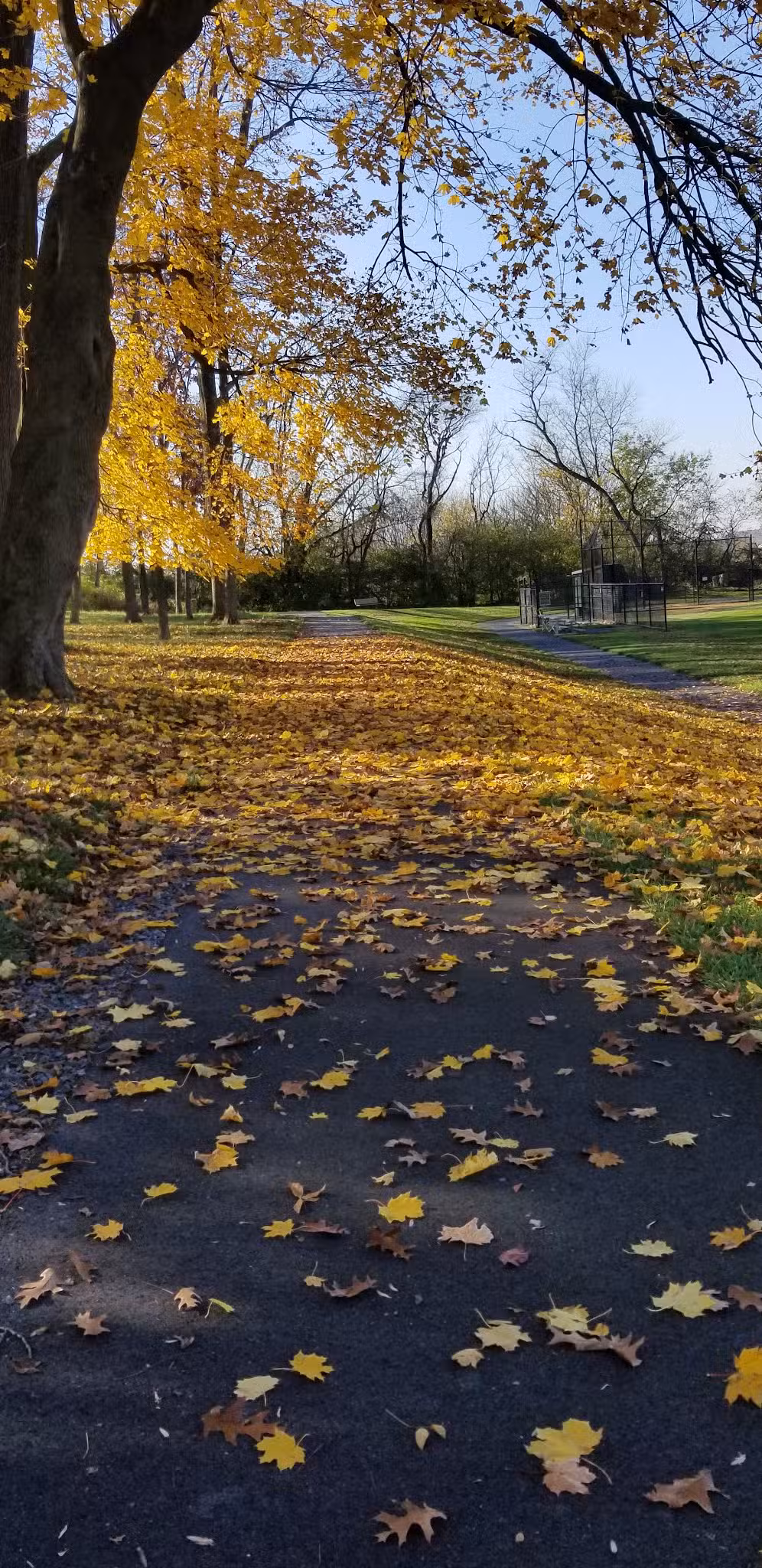 Gloninger Woods Park - Lebanon, PA