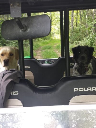 Sleeping Bear Inc - Lee, ME