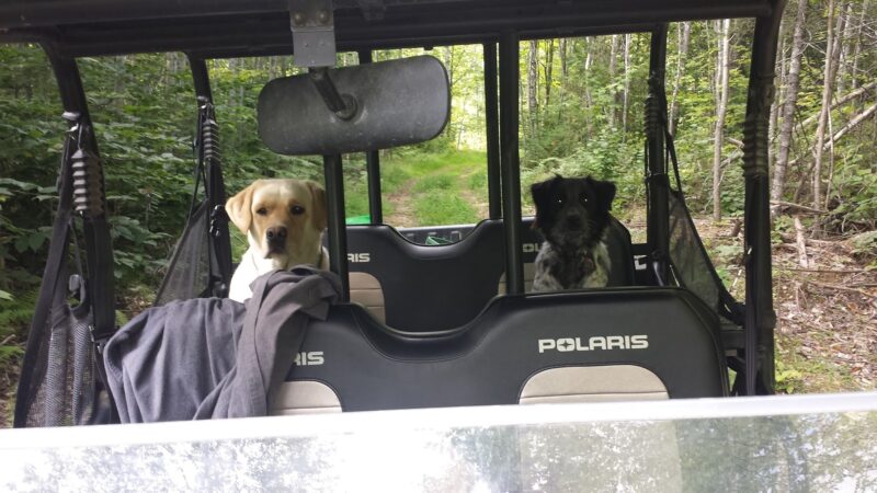 Sleeping Bear Inc - Lee, ME