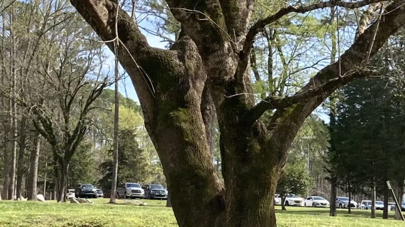 Leeds City Park - Leeds, AL