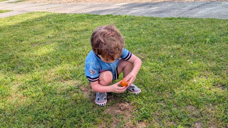 Leeds City Park - Leeds, AL