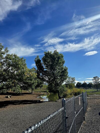 Dog Park at Willow Park - Lehi, UT