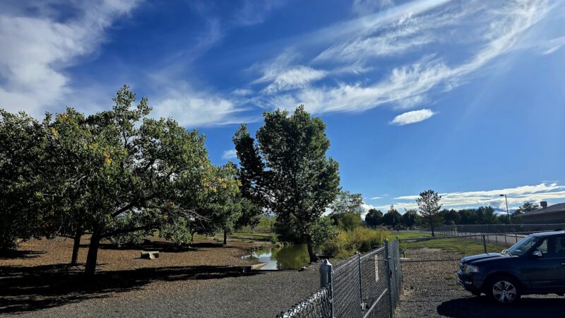 Dog Park at Willow Park - Lehi, UT