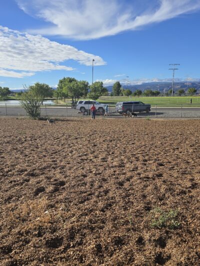 Dog Park at Willow Park - Lehi, UT