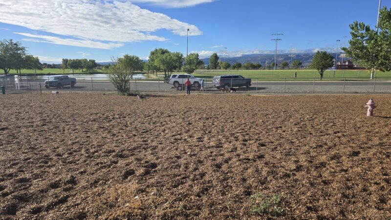Dog Park at Willow Park - Lehi, UT