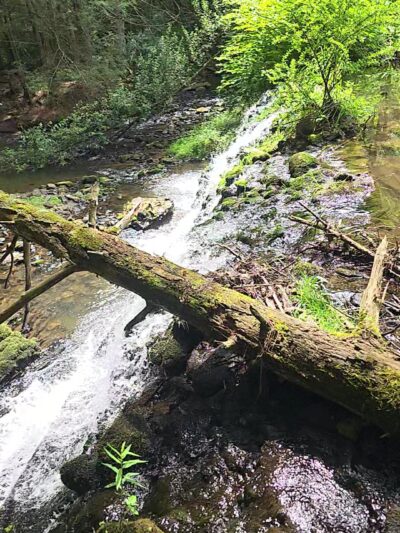 Sawmill Run Trailhead - Lehighton, PA