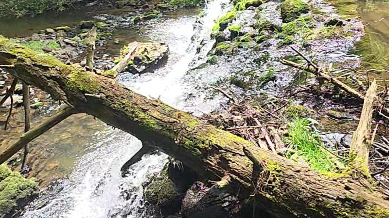 Sawmill Run Trailhead - Lehighton, PA