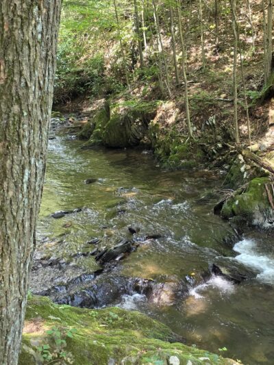 Sawmill Run Trailhead - Lehighton, PA