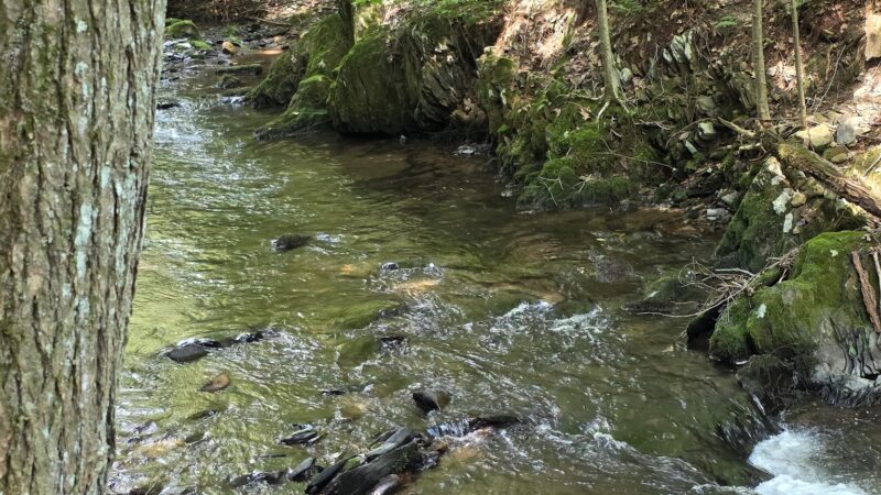 Sawmill Run Trailhead - Lehighton, PA