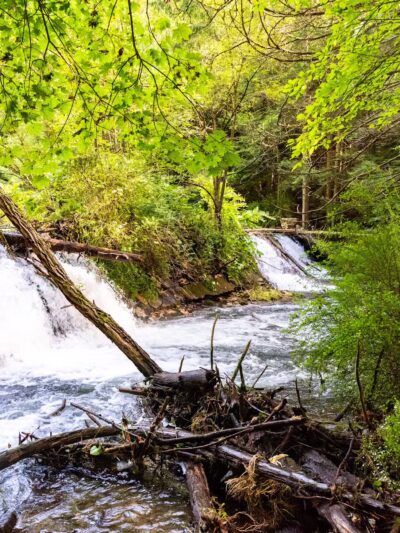 Sawmill Run Trailhead - Lehighton, PA