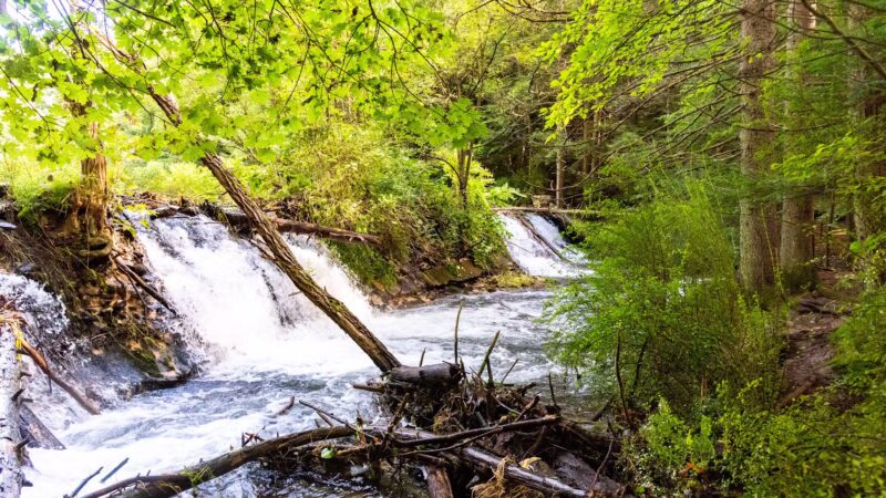Sawmill Run Trailhead - Lehighton, PA