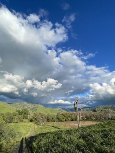 Dry creek Reserve - Lemon Cove, CA