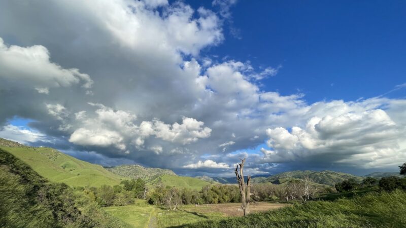 Dry creek Reserve - Lemon Cove, CA