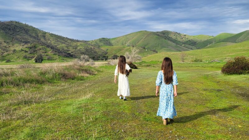 Dry creek Reserve - Lemon Cove, CA