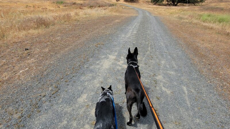 Dry creek Reserve - Lemon Cove, CA