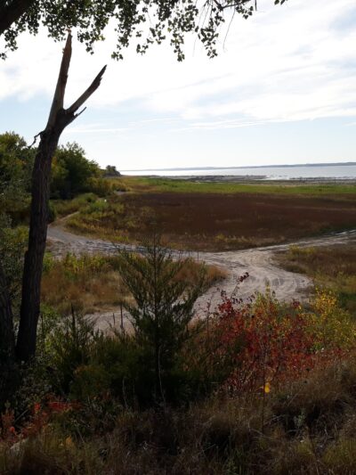 Spring Park Campground - Lemoyne, NE