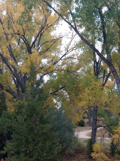 Spring Park Campground - Lemoyne, NE