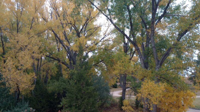Spring Park Campground - Lemoyne, NE