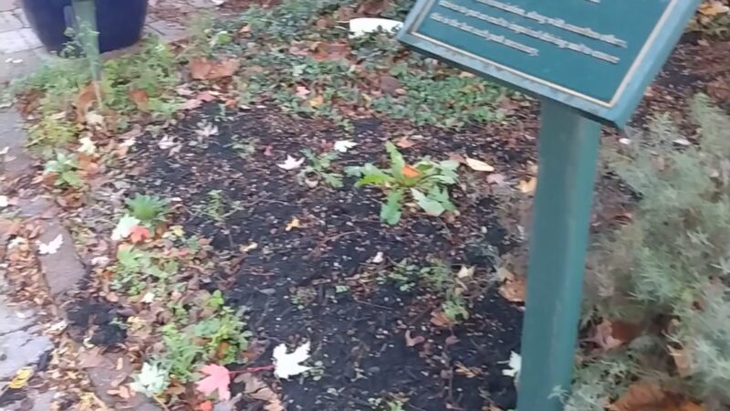Memorial Park - Lemoyne, PA
