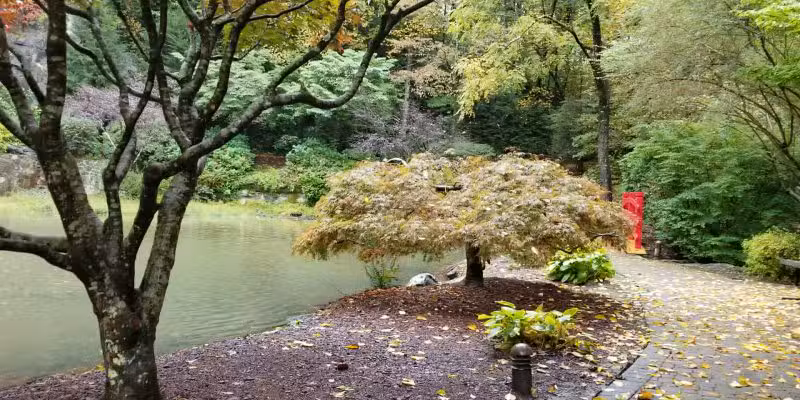 T.H. Broyhill Walking Park - Lenoir, NC