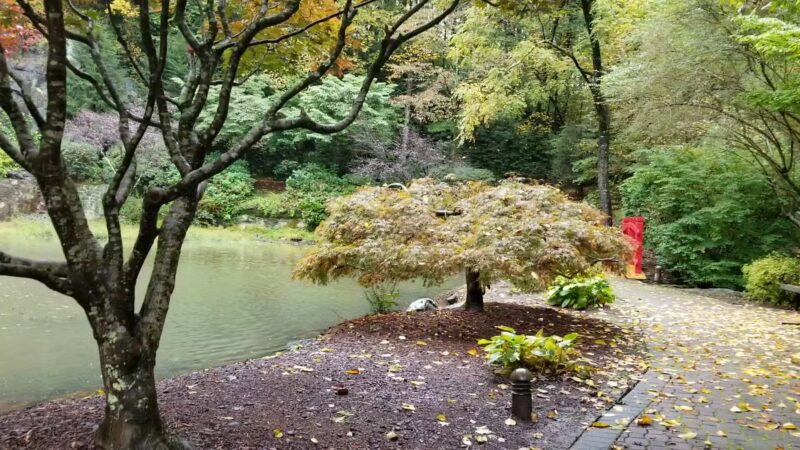 T.H. Broyhill Walking Park - Lenoir, NC