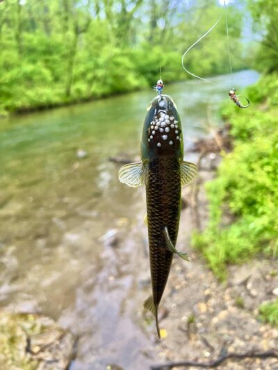 Happy valley park - Lenoir, NC
