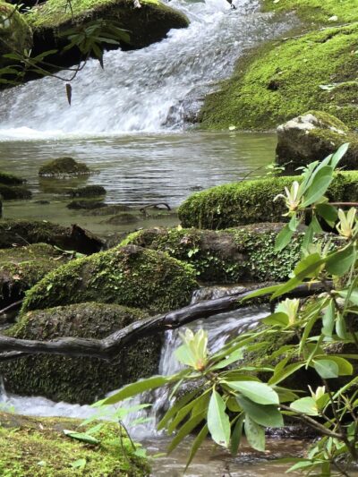 Lower China Creek Trail - Lenoir, NC