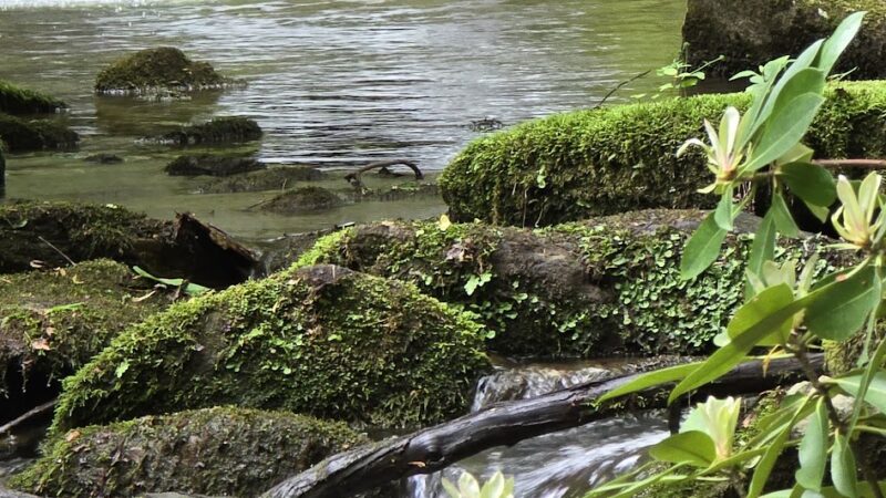 Lower China Creek Trail - Lenoir, NC