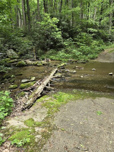 Lower China Creek Trail - Lenoir, NC