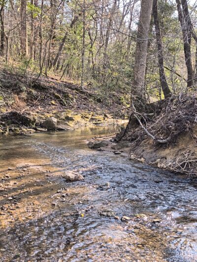 Oak Hill Community Park - Lenoir, NC