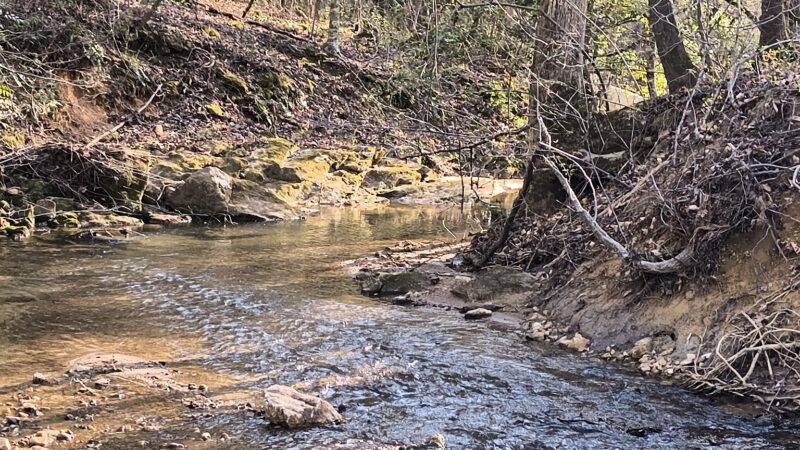 Oak Hill Community Park - Lenoir, NC