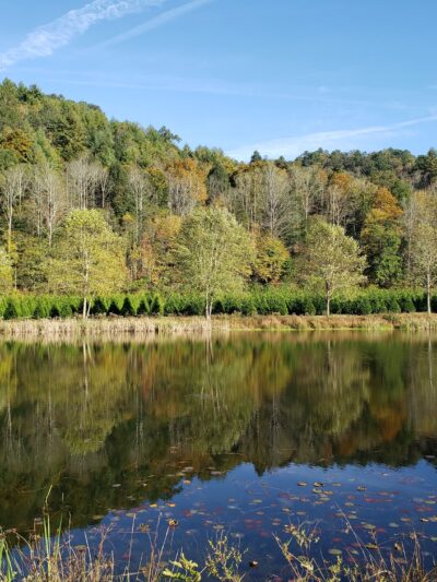 Starlite Trailer Lodge - Lenoir, NC