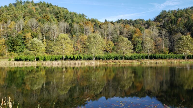 Starlite Trailer Lodge - Lenoir, NC