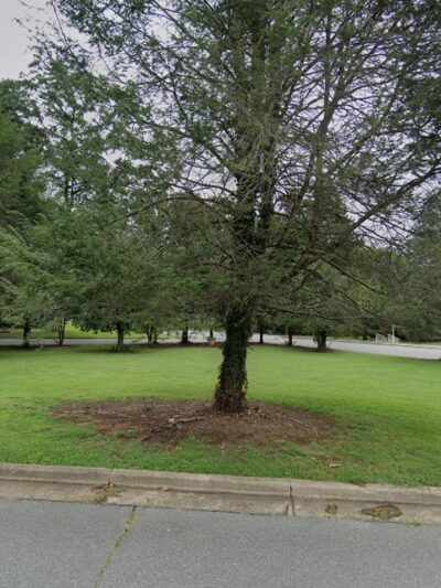Triangle Park - Lenoir, NC