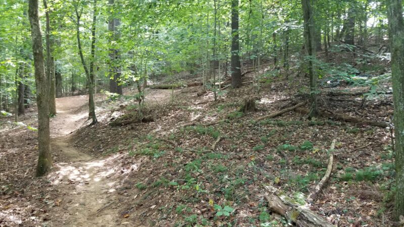 Zack's Fork Mountain Bike Trail Lenoir - Lenoir, NC