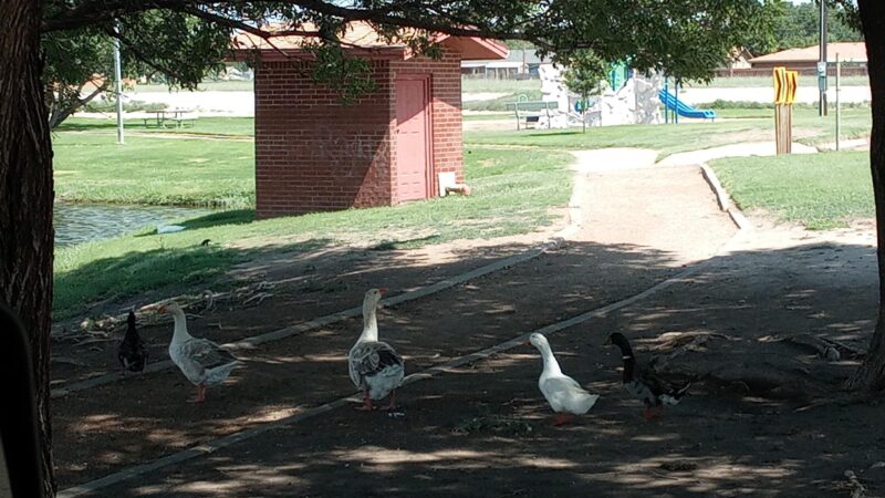Brashear Lake Park - Levelland, TX