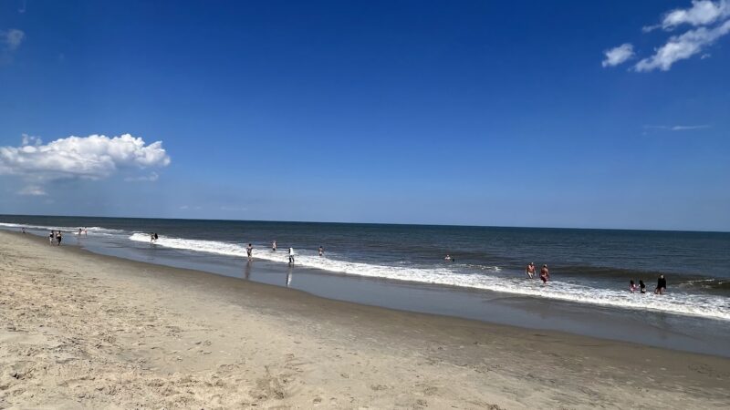 Gordons Pond Beach - Lewes, DE